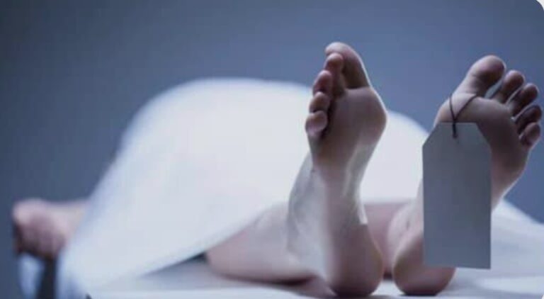 संदिग्ध परिस्थितियों में भाखड़ा पुल के नीचे मिला युवती का शव,जांच में जुटी पुलिस